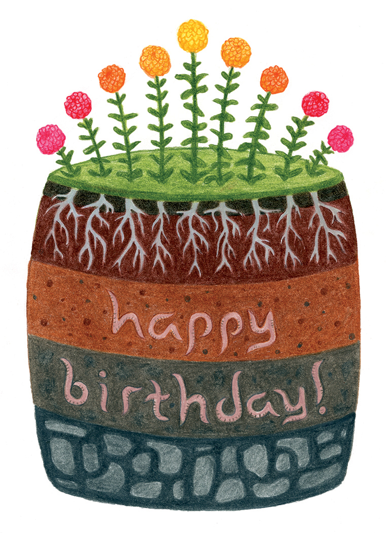 Happy birthday seed packet illustration