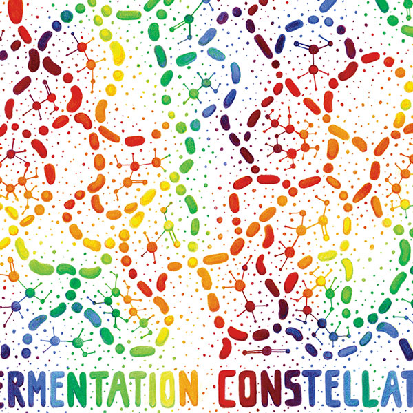 Fermentation Constellation illustration